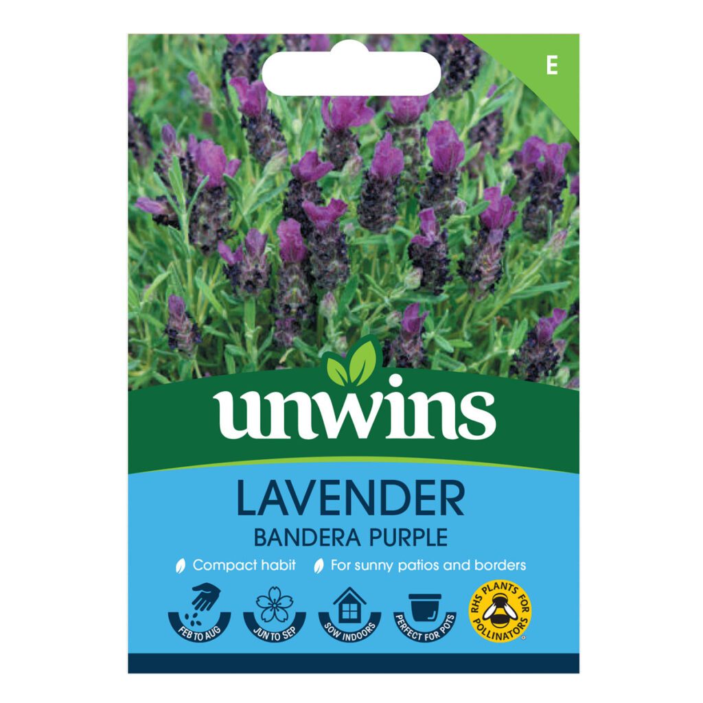 Unwins Lavender Bandera Deep Purple Seeds 5051618016117 2